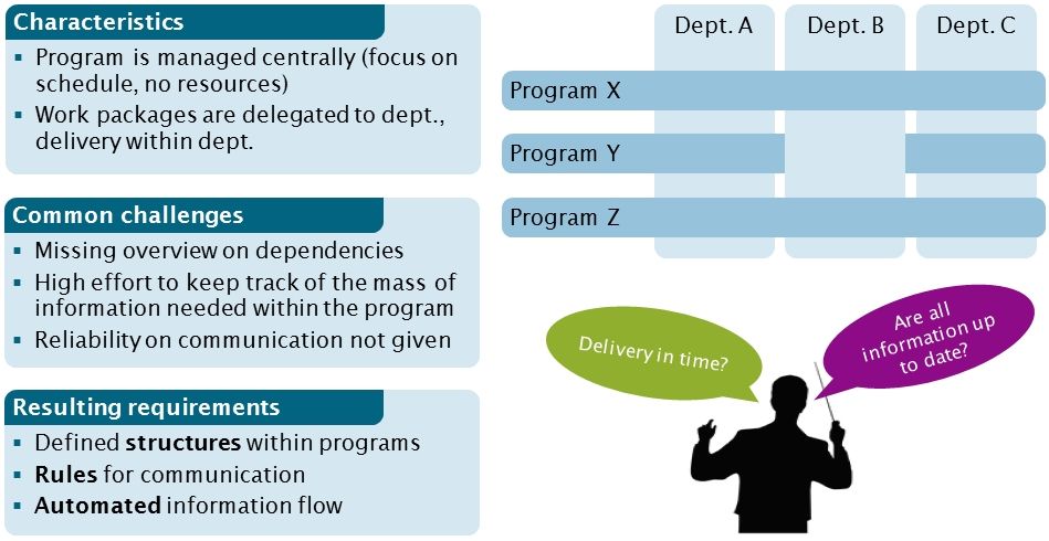 Darstellung des Programmmanagements in Matrixorganisationen