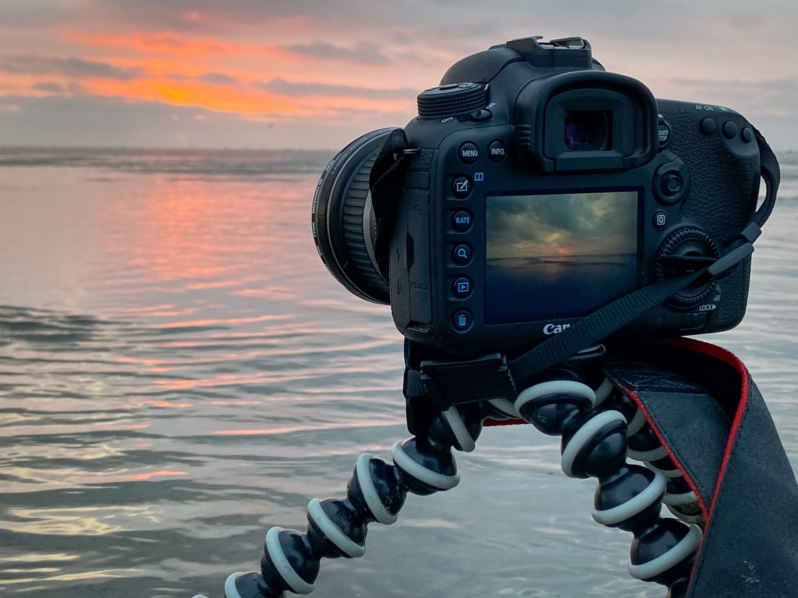 Fotografie von Ingo Meironke