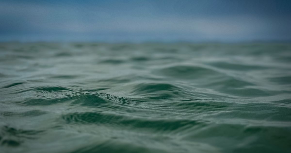 Im Rhythmus der Strömungen